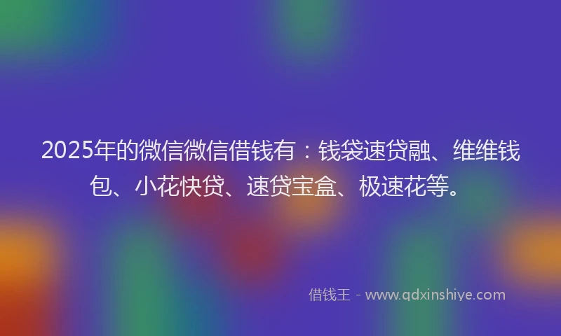 2025年的微信微信借钱有：钱袋速贷融、维维钱包、小花快贷、速贷宝盒、极速花等。