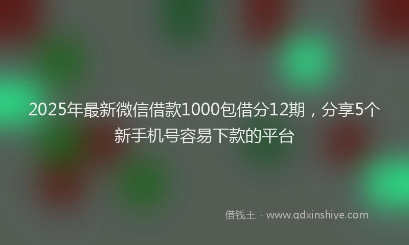 2025年最新微信借款1000包借分12期，分享5个新手机号容易下款的平台