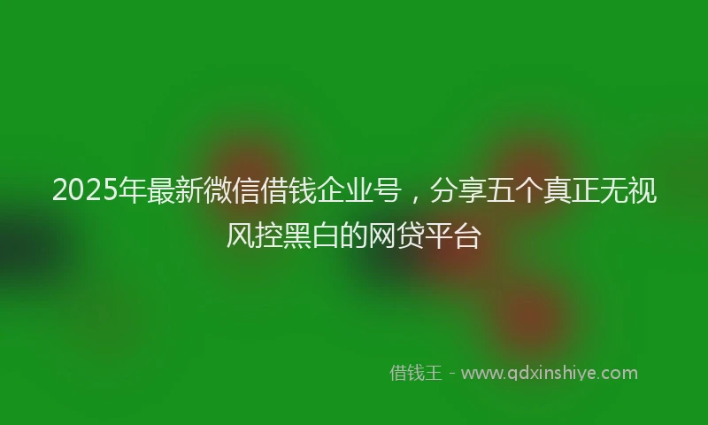 2025年最新微信借钱企业号，分享五个真正无视风控黑白的网贷平台