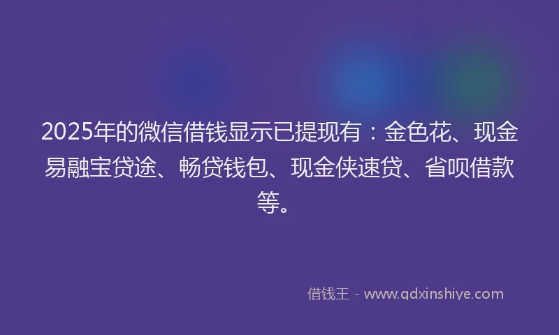2025年的微信借钱显示已提现有：金色花、现金易融宝贷途、畅贷钱包、现金侠速贷、省呗借款等。
