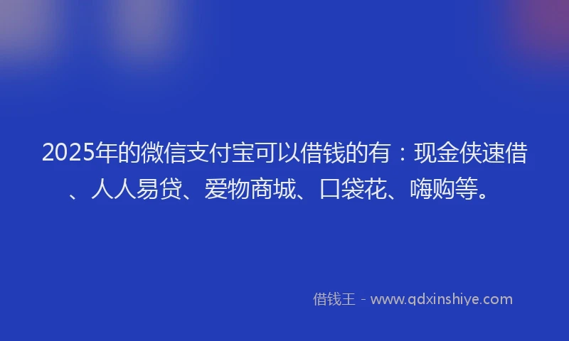 2025年的微信支付宝可以借钱的有：现金侠速借、人人易贷、爱物商城、口袋花、嗨购等。