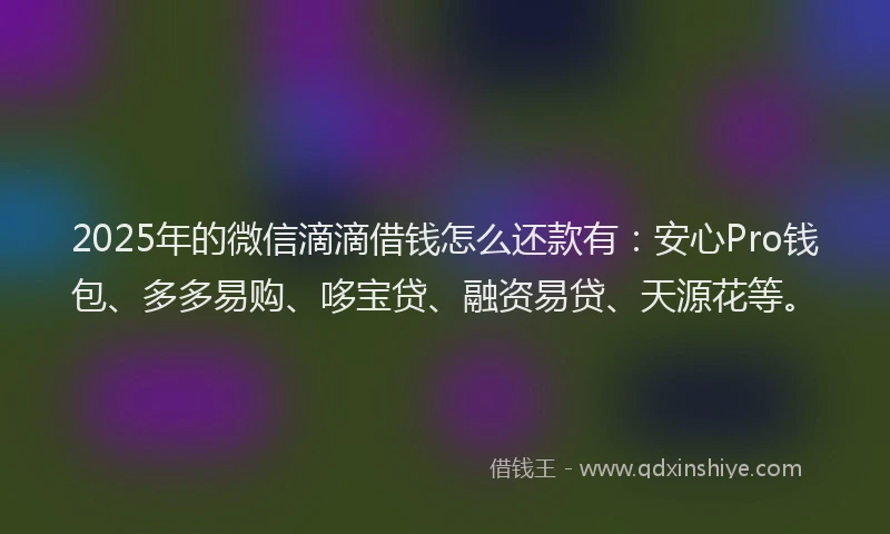 2025年的微信滴滴借钱怎么还款有：安心Pro钱包、多多易购、哆宝贷、融资易贷、天源花等。