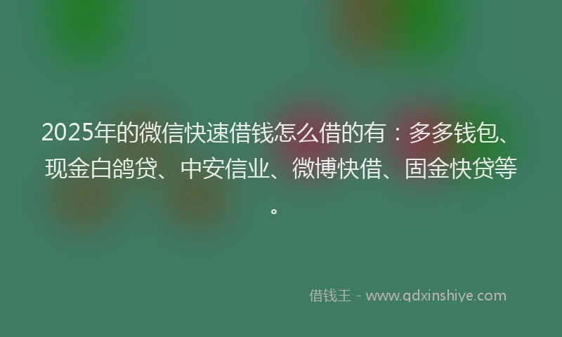 2025年的微信快速借钱怎么借的有：多多钱包、现金白鸽贷、中安信业、微博快借、固金快贷等。