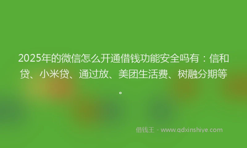 2025年的微信怎么开通借钱功能安全吗有：信和贷、小米贷、通过放、美团生活费、树融分期等。
