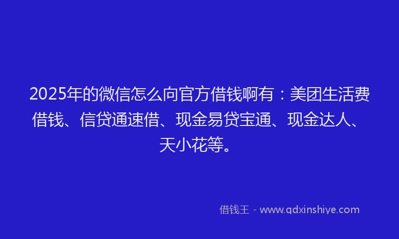 2025年的微信怎么向官方借钱啊有：美团生活费借钱、信贷通速借、现金易贷宝通、现金达人、天小花等。
