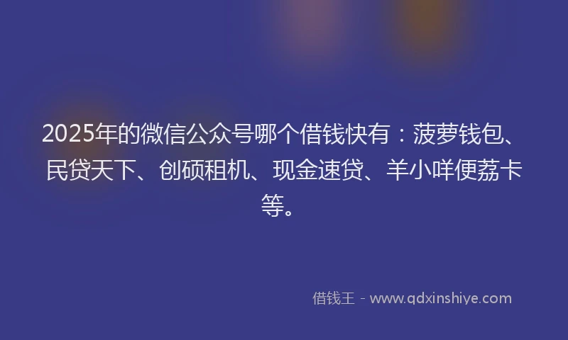 2025年的微信公众号哪个借钱快有：菠萝钱包、民贷天下、创硕租机、现金速贷、羊小咩便荔卡等。
