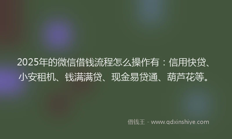 2025年的微信借钱流程怎么操作有：信用快贷、小安租机、钱满满贷、现金易贷通、葫芦花等。