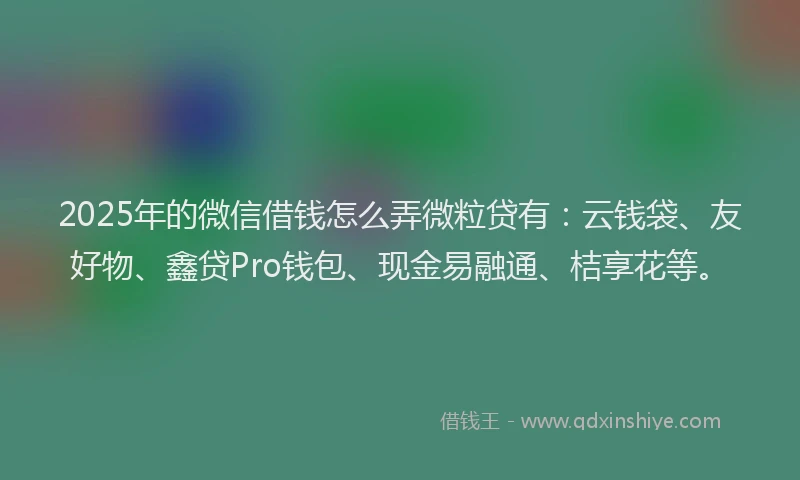 2025年的微信借钱怎么弄微粒贷有：云钱袋、友好物、鑫贷Pro钱包、现金易融通、桔享花等。