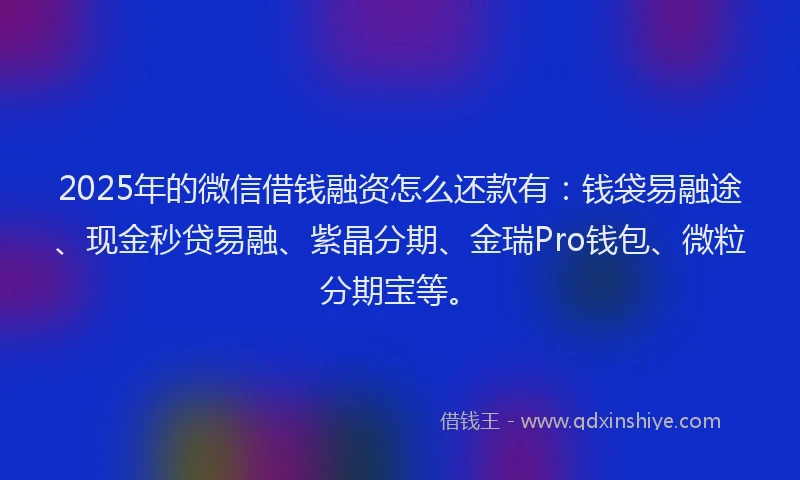 2025年的微信借钱融资怎么还款有：钱袋易融途、现金秒贷易融、紫晶分期、金瑞Pro钱包、微粒分期宝等。