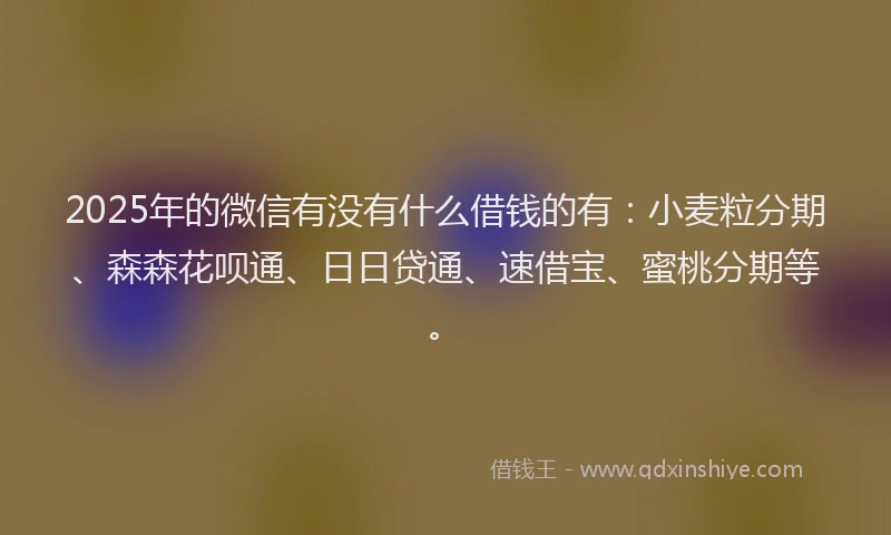 2025年的微信有没有什么借钱的有：小麦粒分期、森森花呗通、日日贷通、速借宝、蜜桃分期等。