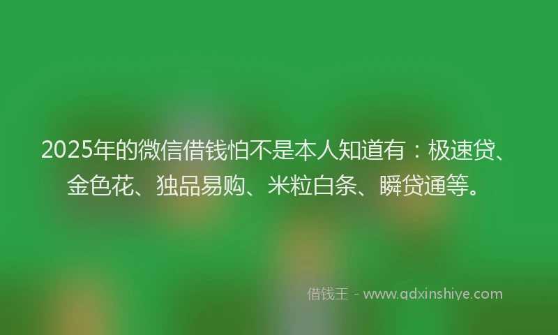 2025年的微信借钱怕不是本人知道有：极速贷、金色花、独品易购、米粒白条、瞬贷通等。