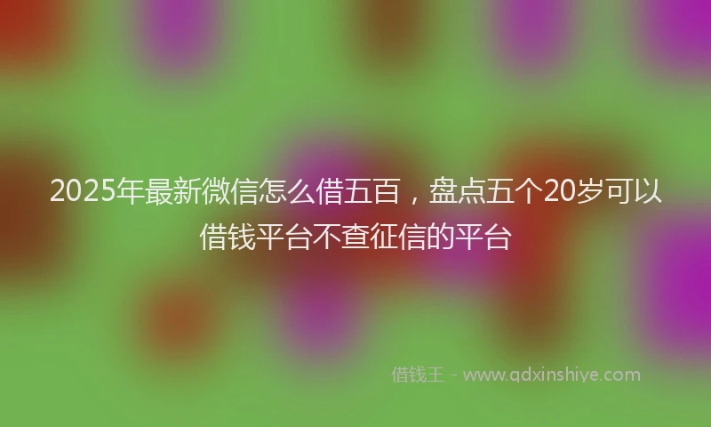 2025年最新微信怎么借五百，盘点五个20岁可以借钱平台不查征信的平台