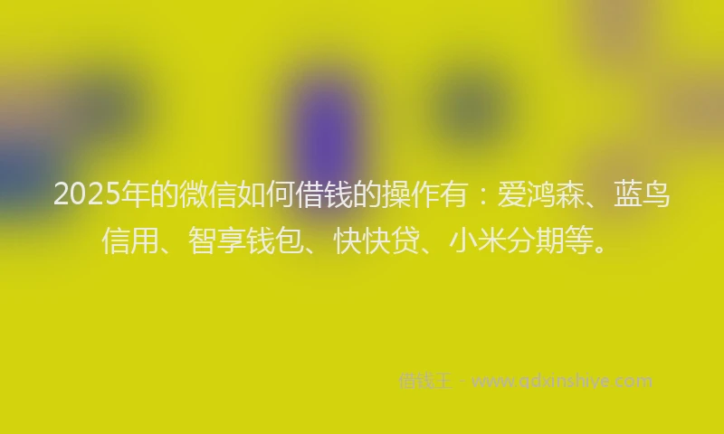 2025年的微信如何借钱的操作有：爱鸿森、蓝鸟信用、智享钱包、快快贷、小米分期等。