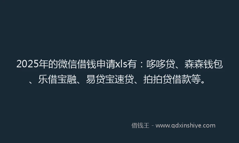 2025年的微信借钱申请xls有：哆哆贷、森森钱包、乐借宝融、易贷宝速贷、拍拍贷借款等。