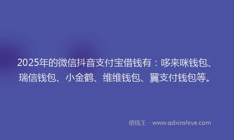 2025年的微信抖音支付宝借钱有：哆来咪钱包、瑞信钱包、小金鹤、维维钱包、翼支付钱包等。