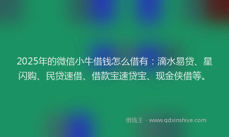 2025年的微信小牛借钱怎么借有：滴水易贷、星闪购、民贷速借、借款宝速贷宝、现金侠借等。