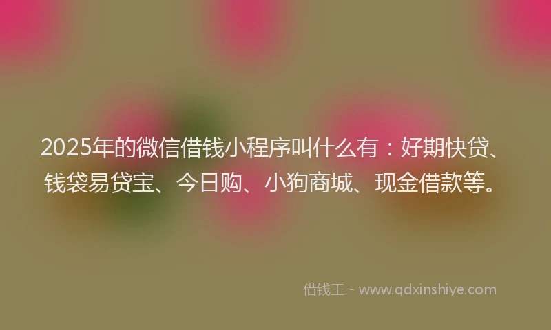2025年的微信借钱小程序叫什么有：好期快贷、钱袋易贷宝、今日购、小狗商城、现金借款等。