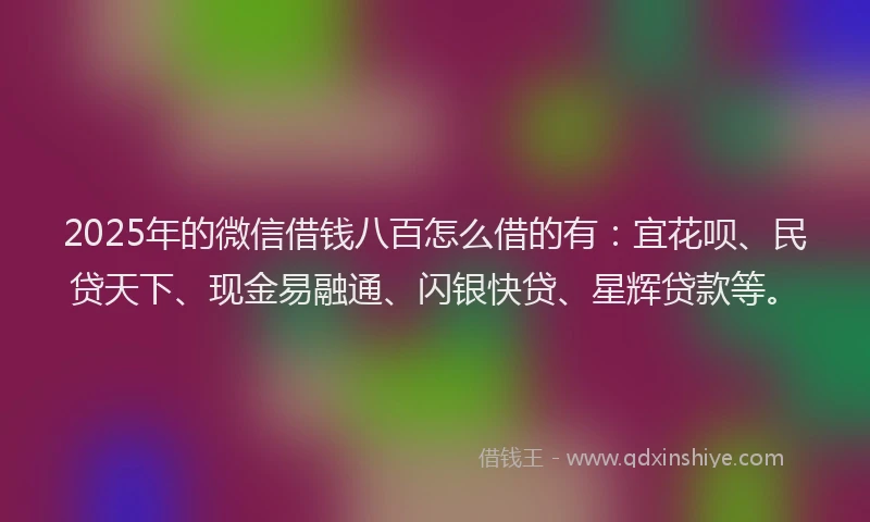 2025年的微信借钱八百怎么借的有：宜花呗、民贷天下、现金易融通、闪银快贷、星辉贷款等。
