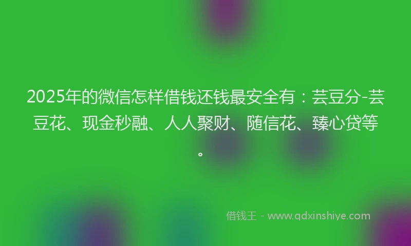 2025年的微信怎样借钱还钱最安全有：芸豆分-芸豆花、现金秒融、人人聚财、随信花、臻心贷等。
