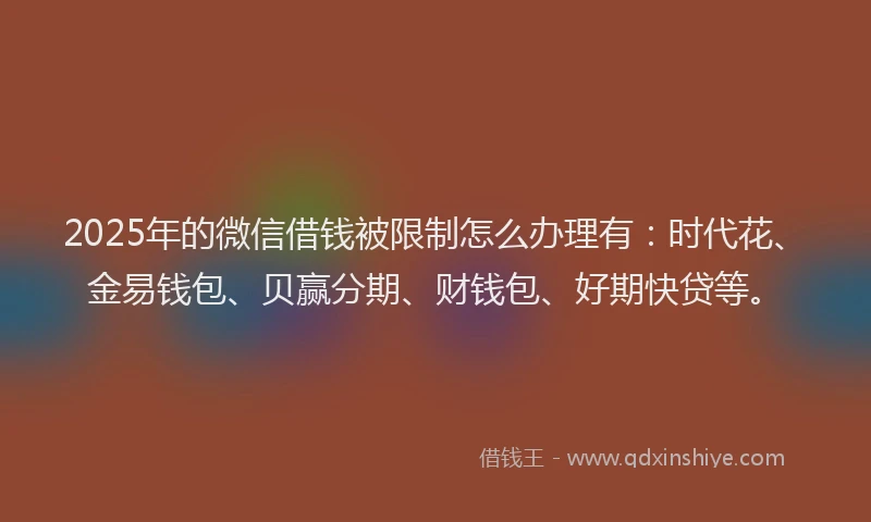 2025年的微信借钱被限制怎么办理有：时代花、金易钱包、贝赢分期、财钱包、好期快贷等。