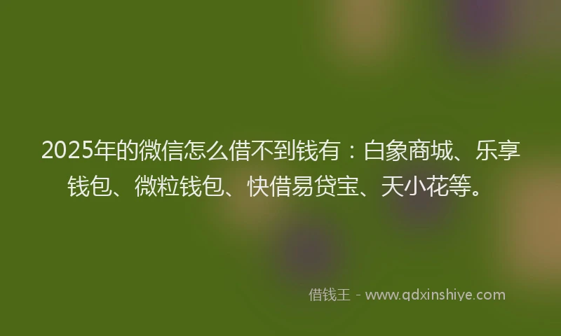 2025年的微信怎么借不到钱有：白象商城、乐享钱包、微粒钱包、快借易贷宝、天小花等。