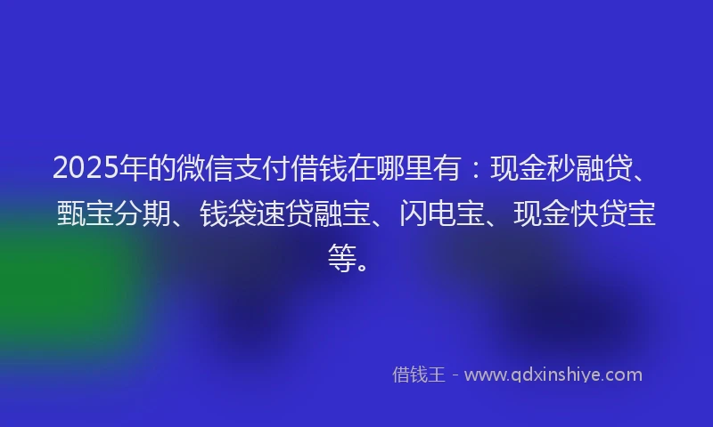2025年的微信支付借钱在哪里有：现金秒融贷、甄宝分期、钱袋速贷融宝、闪电宝、现金快贷宝等。