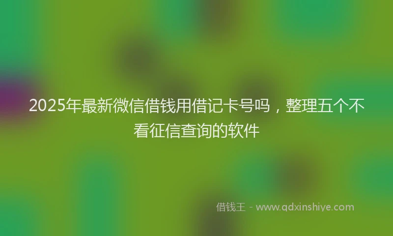 2025年最新微信借钱用借记卡号吗，整理五个不看征信查询的软件