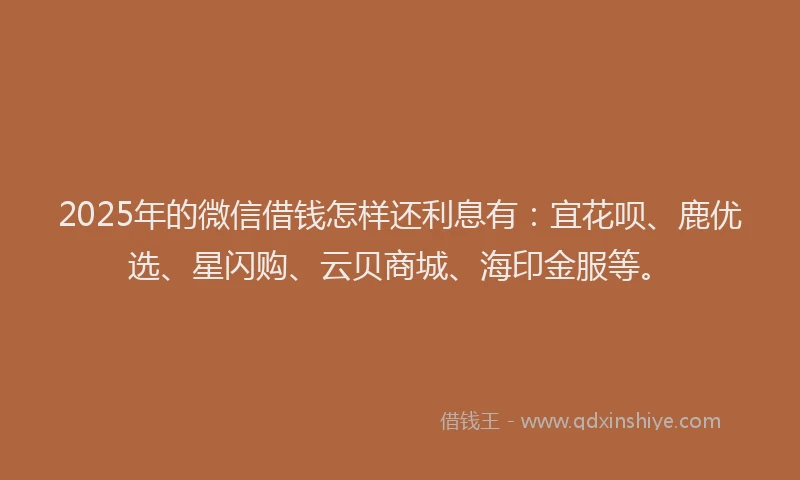 2025年的微信借钱怎样还利息有：宜花呗、鹿优选、星闪购、云贝商城、海印金服等。