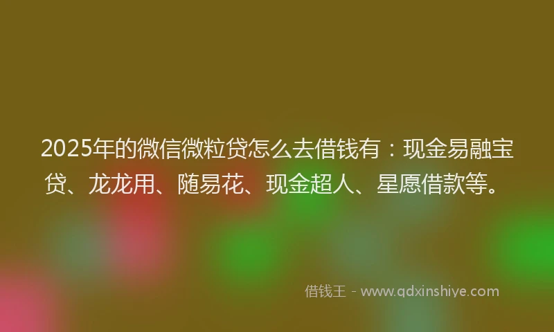 2025年的微信微粒贷怎么去借钱有：现金易融宝贷、龙龙用、随易花、现金超人、星愿借款等。