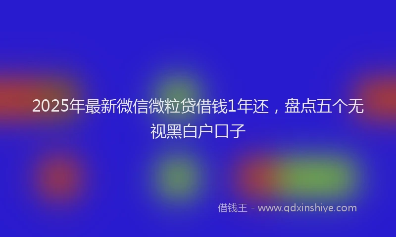 2025年最新微信微粒贷借钱1年还，盘点五个无视黑白户口子