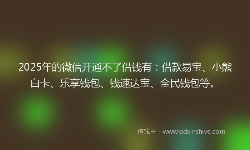 2025年的微信开通不了借钱有：借款易宝、小熊白卡、乐享钱包、钱速达宝、全民钱包等。