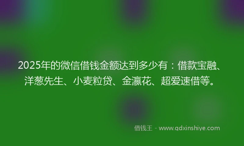 2025年的微信借钱金额达到多少有：借款宝融、洋葱先生、小麦粒贷、金瀛花、超爱速借等。