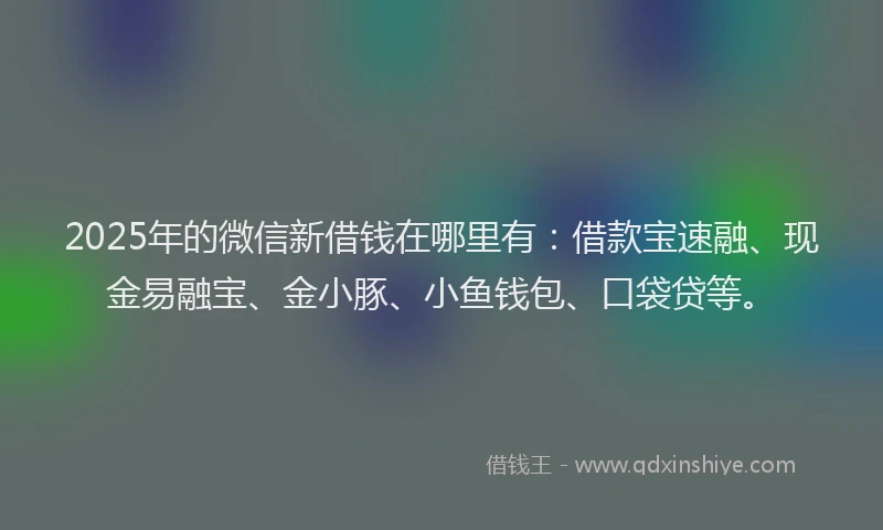 2025年的微信新借钱在哪里有：借款宝速融、现金易融宝、金小豚、小鱼钱包、口袋贷等。