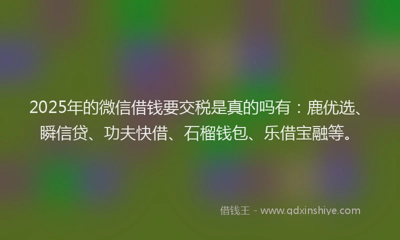 2025年的微信借钱要交税是真的吗有：鹿优选、瞬信贷、功夫快借、石榴钱包、乐借宝融等。