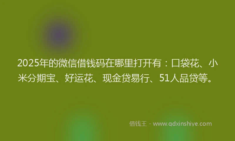 2025年的微信借钱码在哪里打开有：口袋花、小米分期宝、好运花、现金贷易行、51人品贷等。