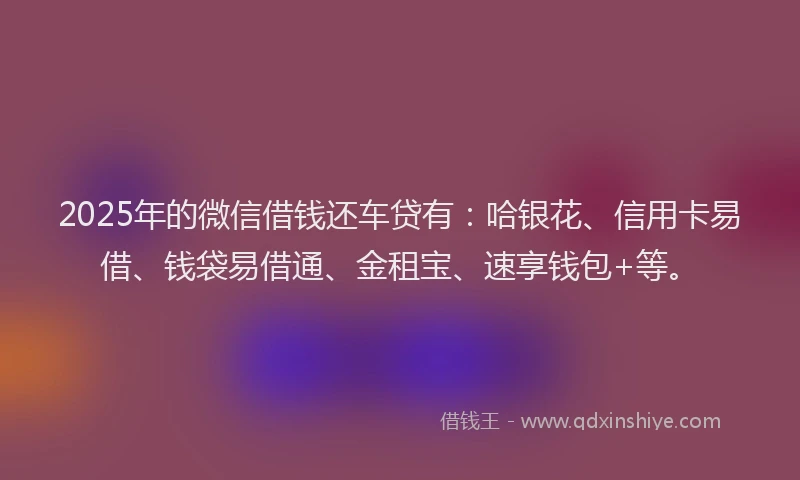 2025年的微信借钱还车贷有：哈银花、信用卡易借、钱袋易借通、金租宝、速享钱包+等。