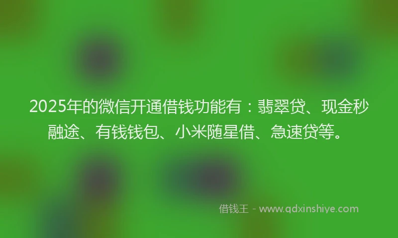 2025年的微信开通借钱功能有：翡翠贷、现金秒融途、有钱钱包、小米随星借、急速贷等。