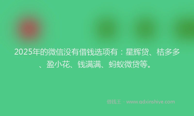 2025年的微信没有借钱选项有：星辉贷、桔多多、盈小花、钱满满、蚂蚁微贷等。