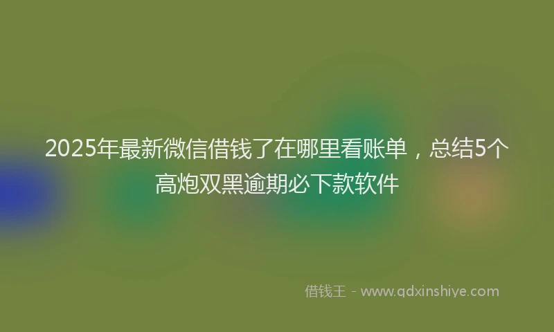 2025年最新微信借钱了在哪里看账单，总结5个高炮双黑逾期必下款软件