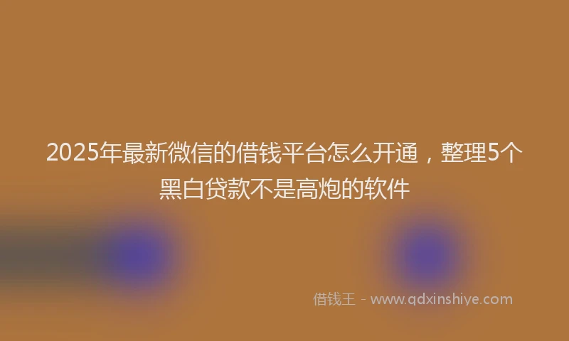 2025年最新微信的借钱平台怎么开通，整理5个黑白贷款不是高炮的软件