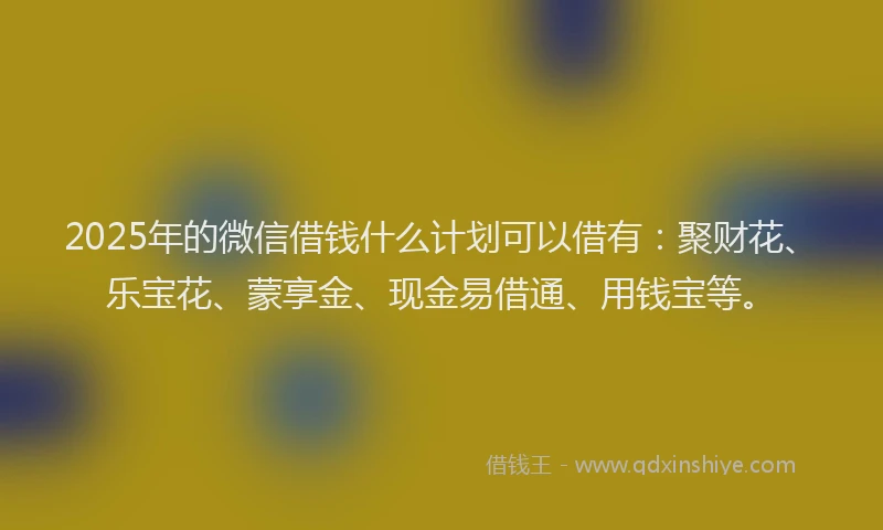 2025年的微信借钱什么计划可以借有：聚财花、乐宝花、蒙享金、现金易借通、用钱宝等。