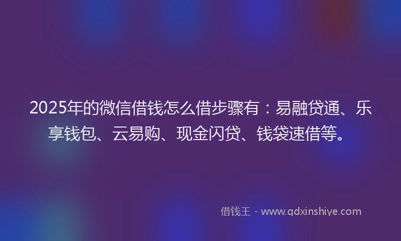2025年的微信借钱怎么借步骤有：易融贷通、乐享钱包、云易购、现金闪贷、钱袋速借等。