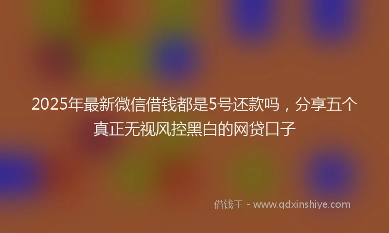 2025年最新微信借钱都是5号还款吗，分享五个真正无视风控黑白的网贷口子