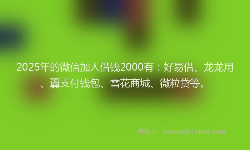 2025年的微信加人借钱2000有：好易借、龙龙用、翼支付钱包、雪花商城、微粒贷等。