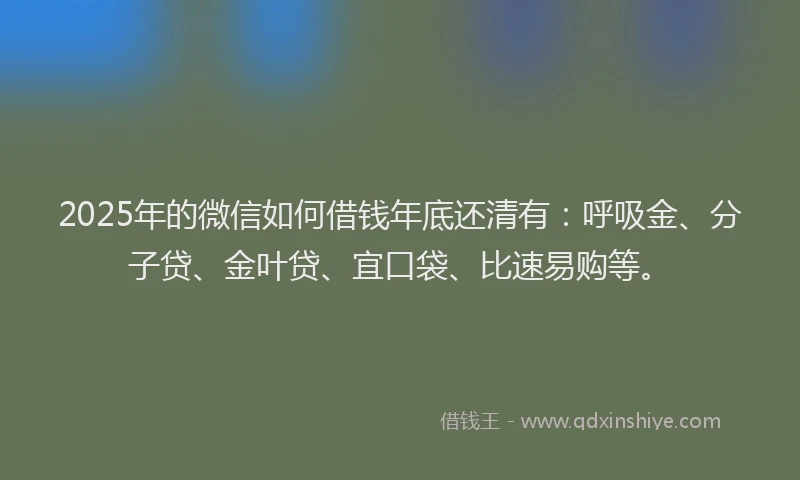 2025年的微信如何借钱年底还清有：呼吸金、分子贷、金叶贷、宜口袋、比速易购等。
