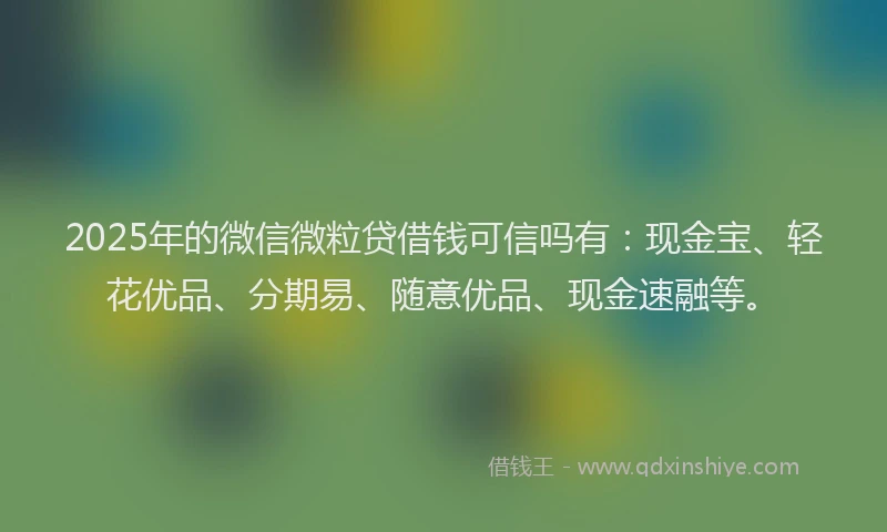 2025年的微信微粒贷借钱可信吗有：现金宝、轻花优品、分期易、随意优品、现金速融等。