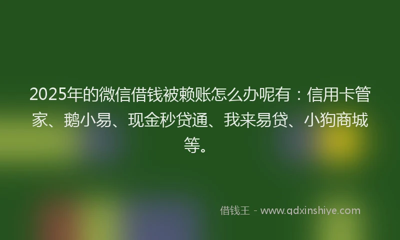 2025年的微信借钱被赖账怎么办呢有：信用卡管家、鹅小易、现金秒贷通、我来易贷、小狗商城等。