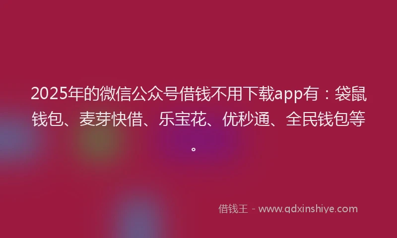 2025年的微信公众号借钱不用下载app有：袋鼠钱包、麦芽快借、乐宝花、优秒通、全民钱包等。