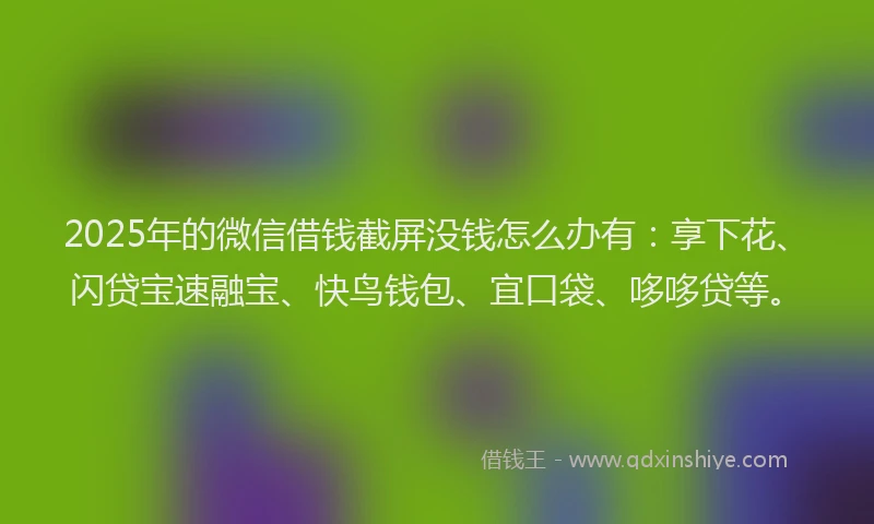 2025年的微信借钱截屏没钱怎么办有：享下花、闪贷宝速融宝、快鸟钱包、宜口袋、哆哆贷等。