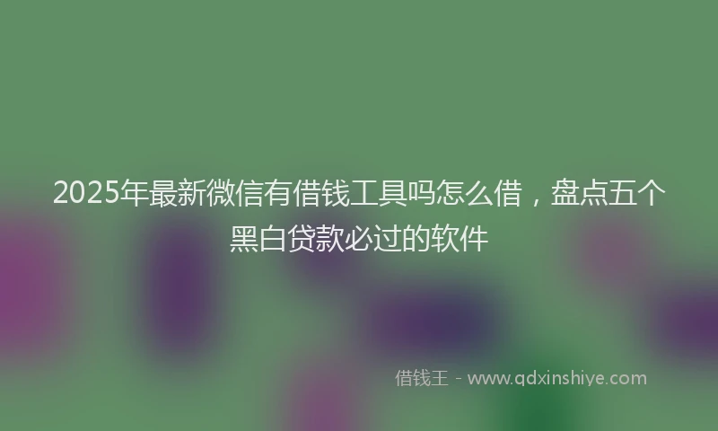 2025年最新微信有借钱工具吗怎么借，盘点五个黑白贷款必过的软件